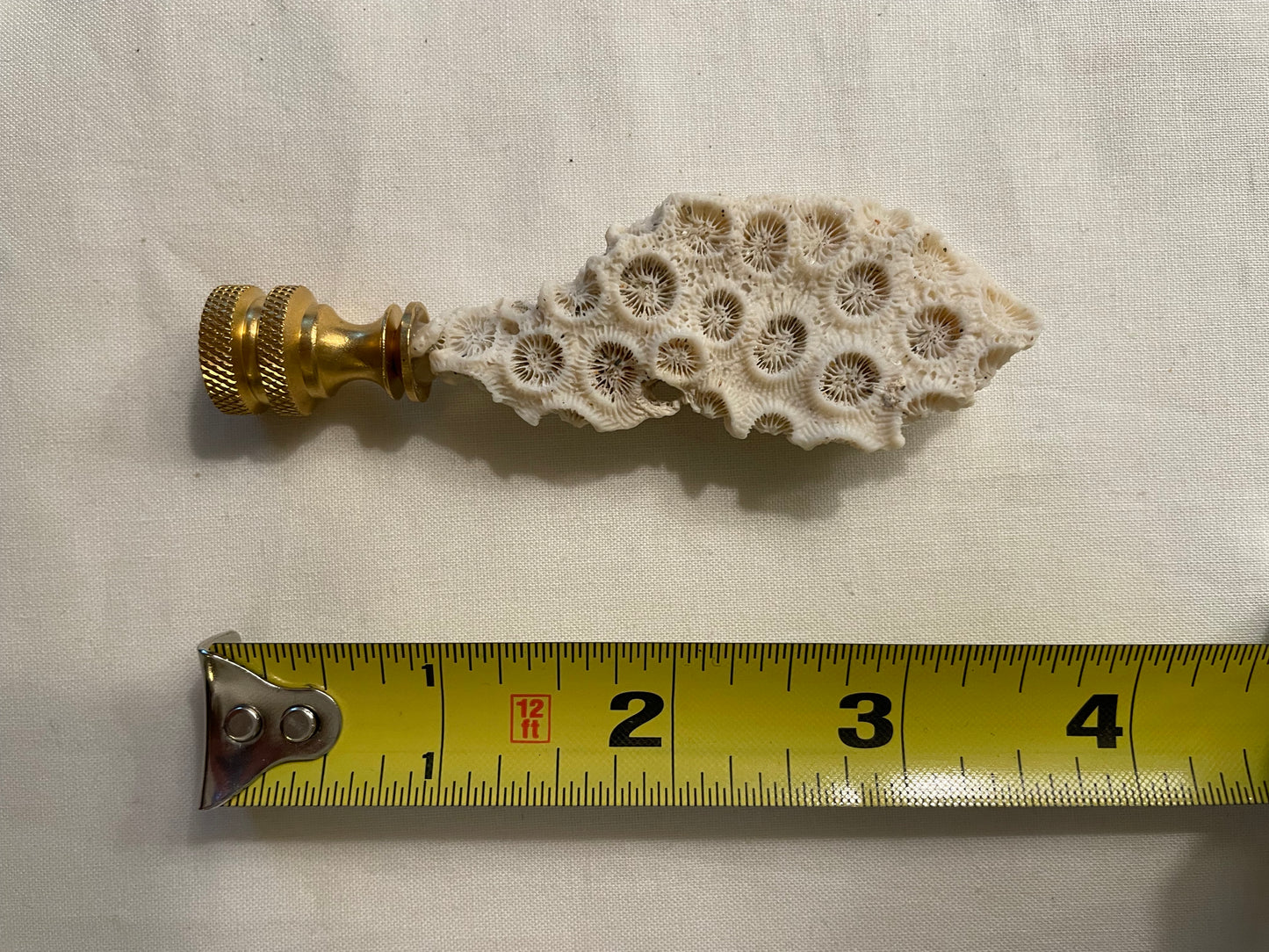Fossil Coral Finial. Unique and rare!