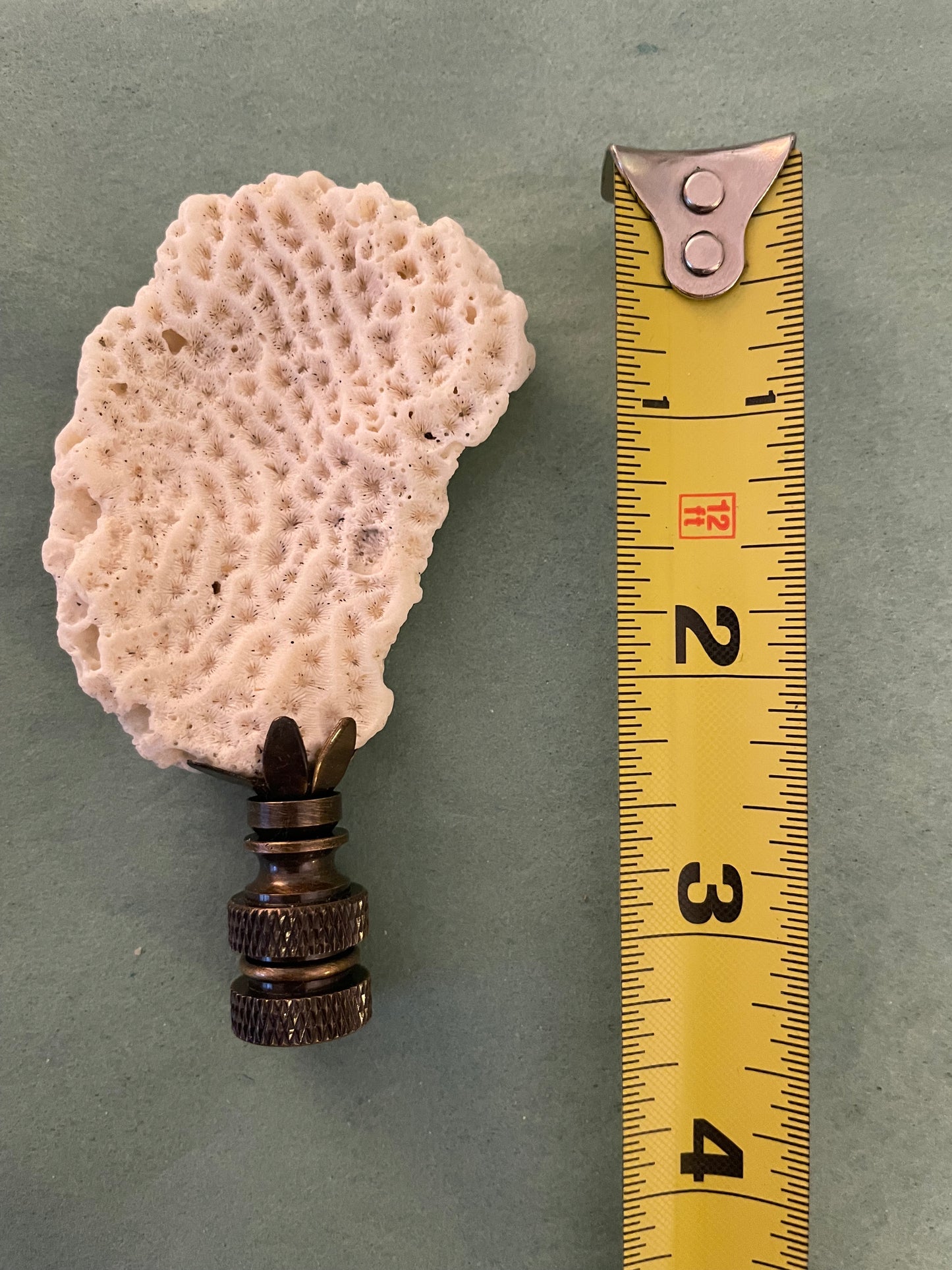 Fossil Coral Finial. Unique and rare!