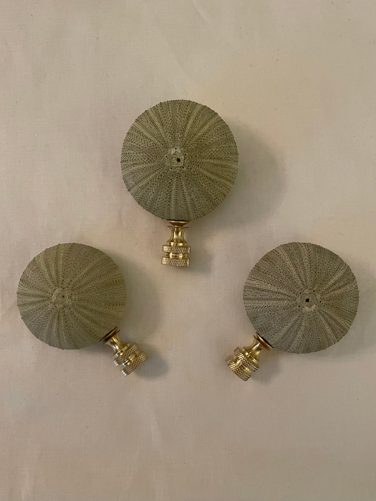 Urchin Seashell Finial. Green. 3 inches.