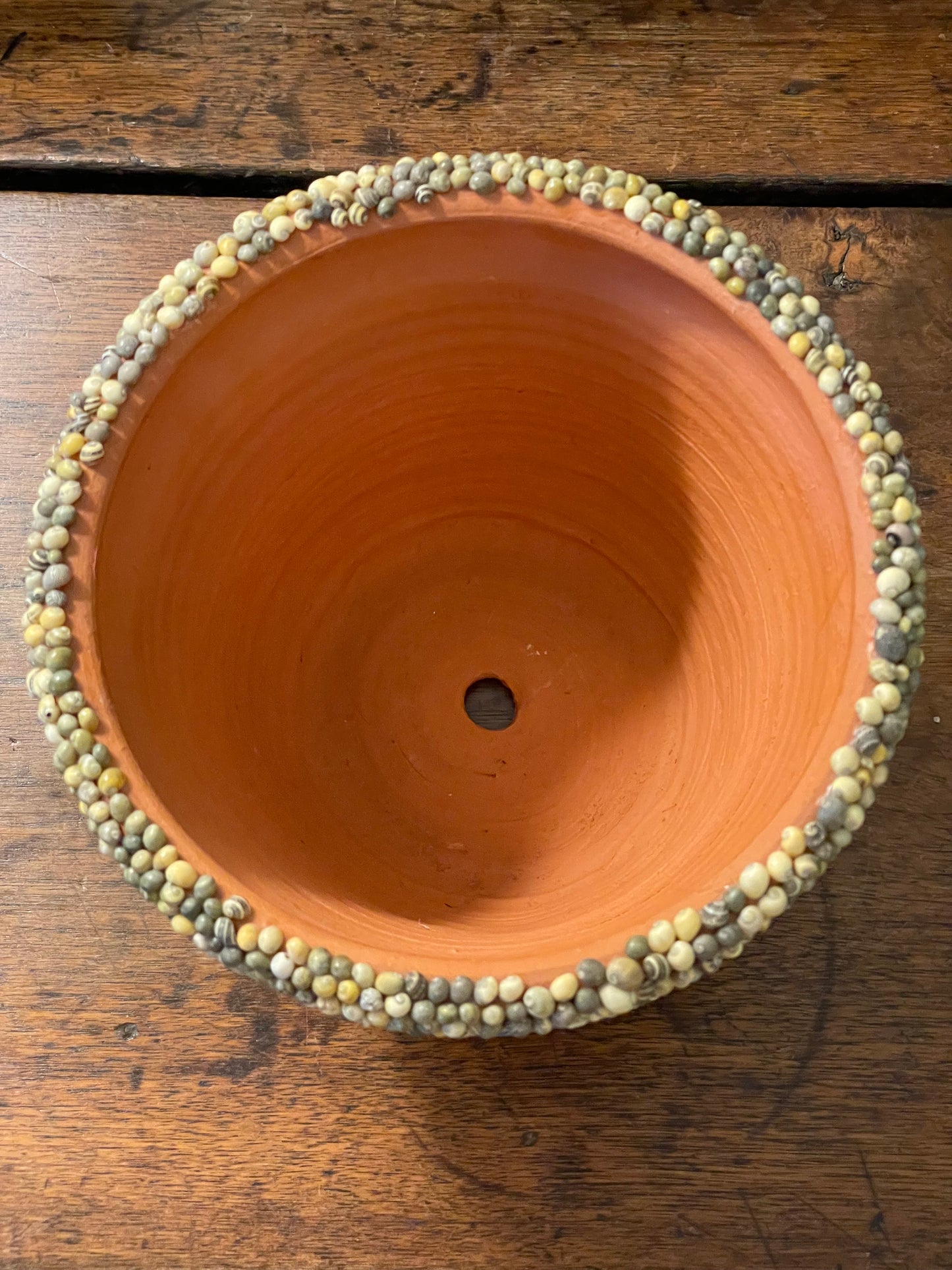 Shell Work Pot. Natural Seashells and Mudlarked Pottery Shards.