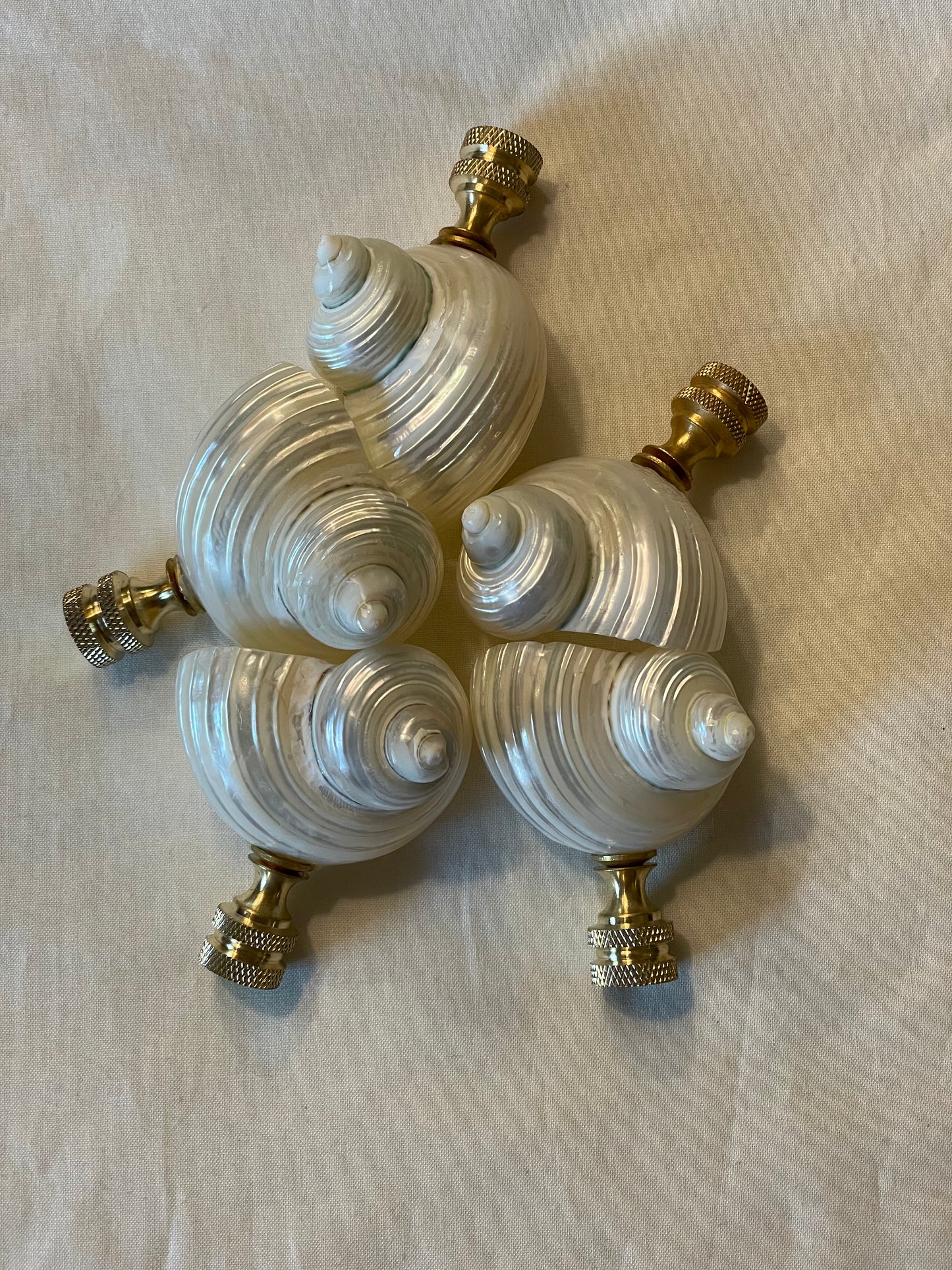 Turbo Seashell Finial. Pearly White. 2.5 - 3 inches.