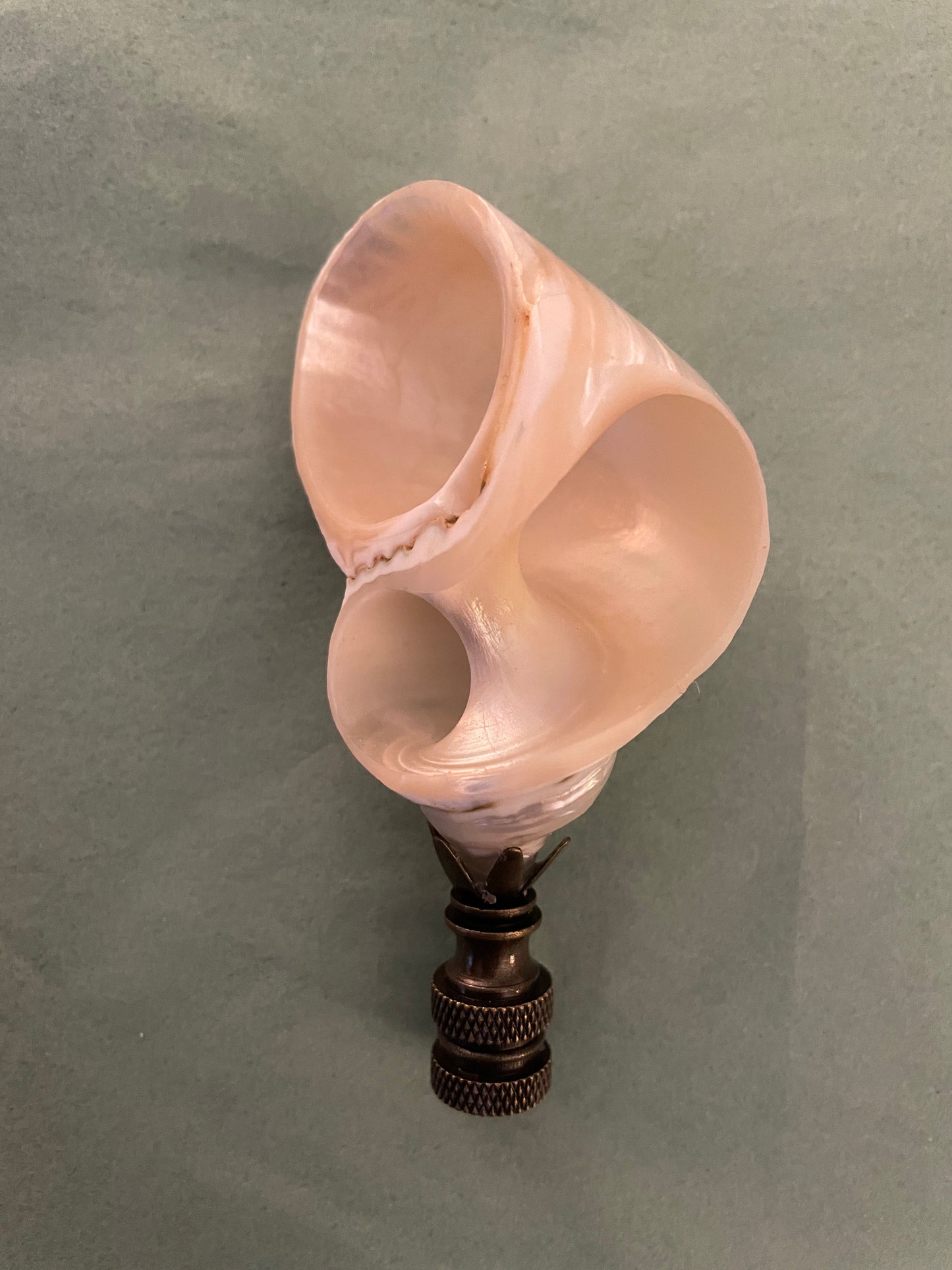 Large Turbo Seashell Finial. Pearly White. 4 inches. One of a kind!
