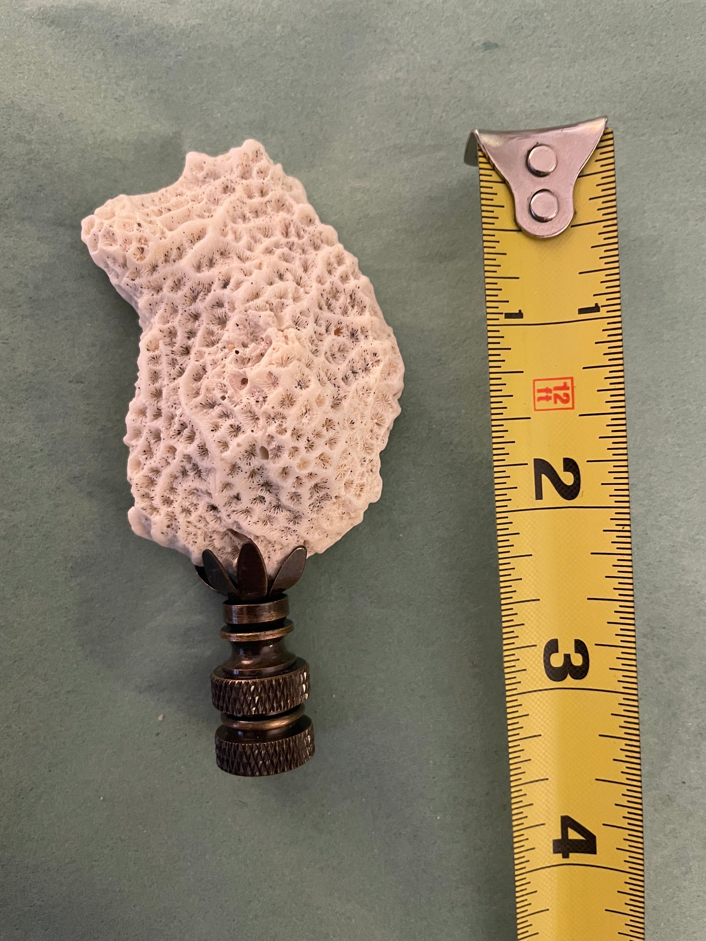 Fossil Coral Finial. Unique and rare!