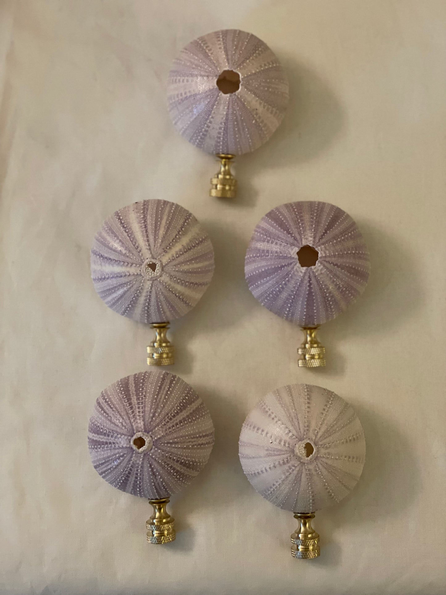 Urchin Seashell Finial. Purplish Pink. 3.5 inches.