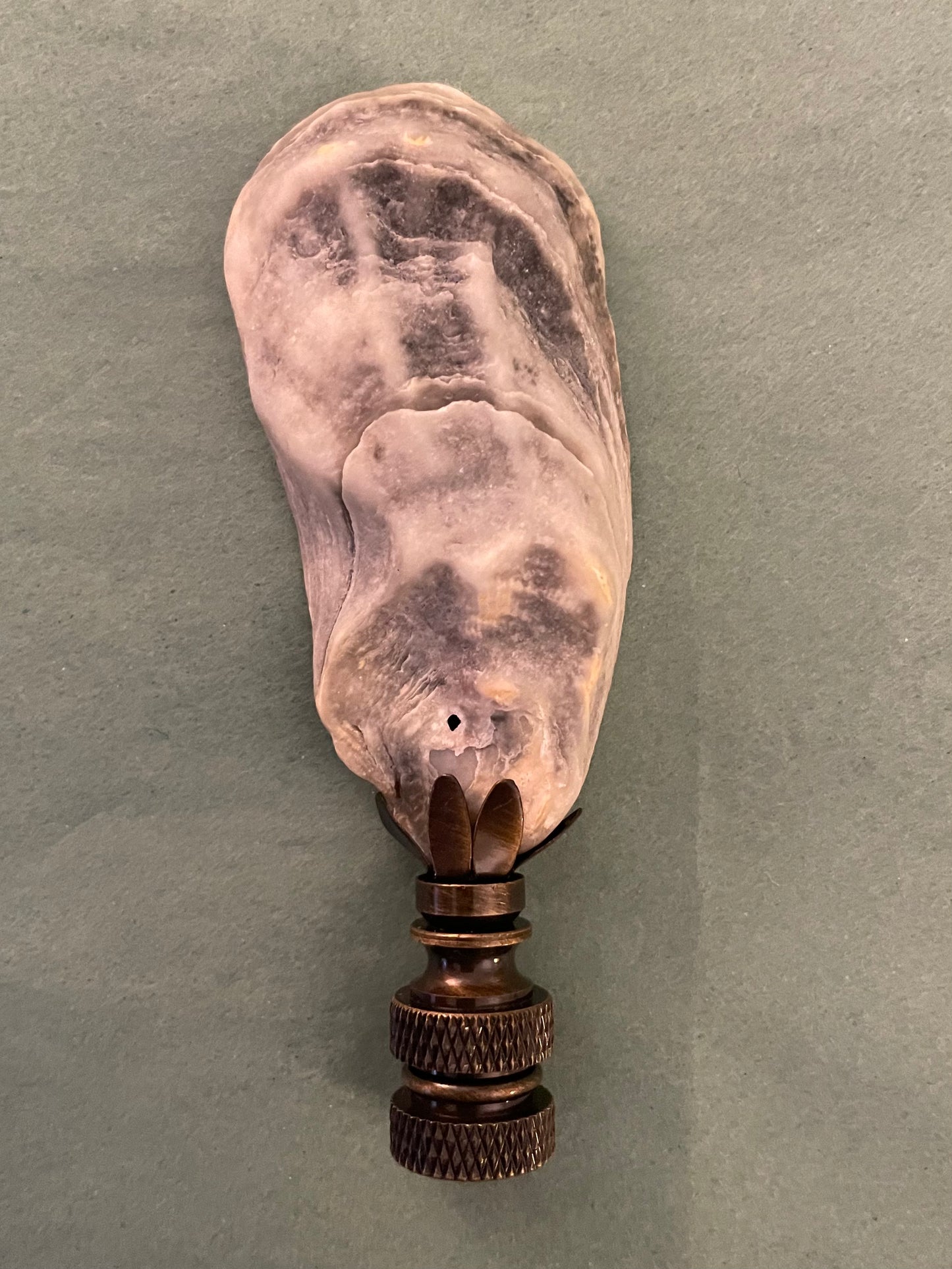 Shell Work Finial. Oyster Shell with Umbonium "Button Top" Seashells. 4 inches. One of a kind!