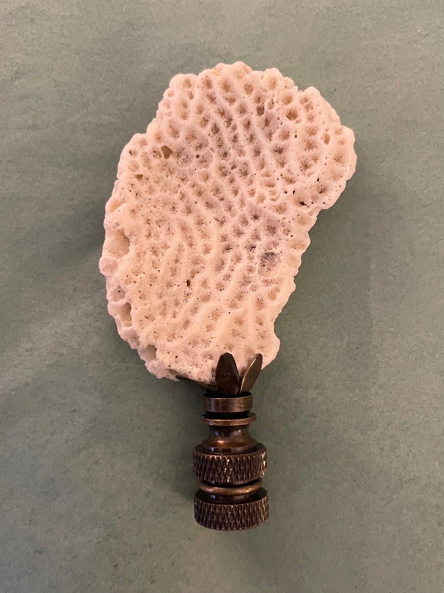 Fossil Coral Finial. Unique and rare!