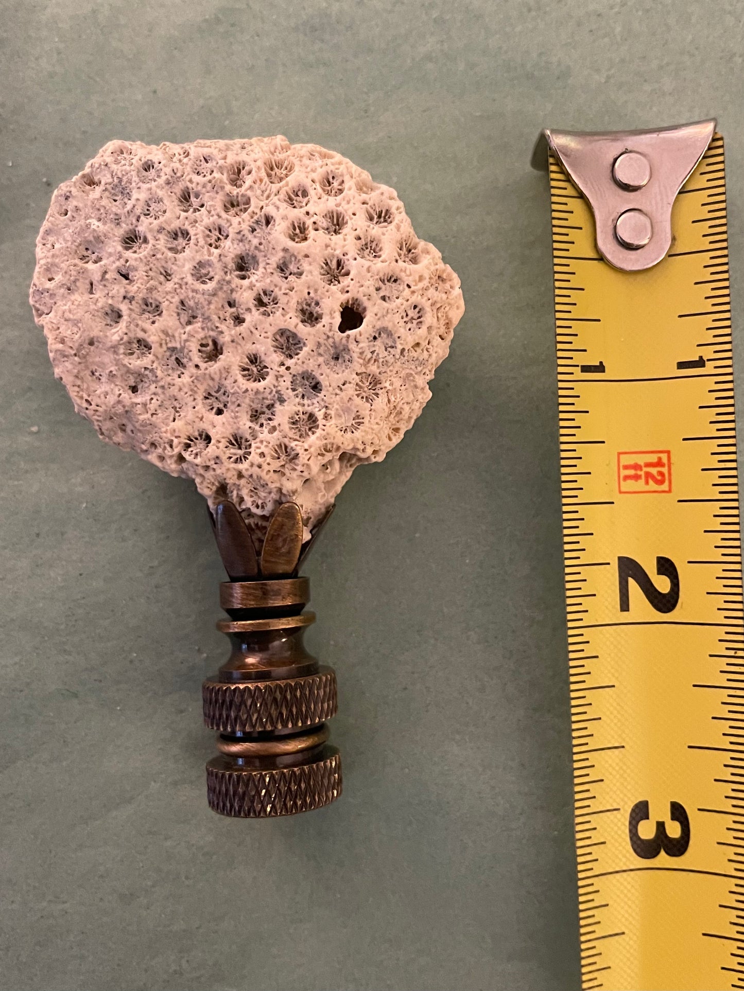 Fossil Coral Finial. Unique and rare!