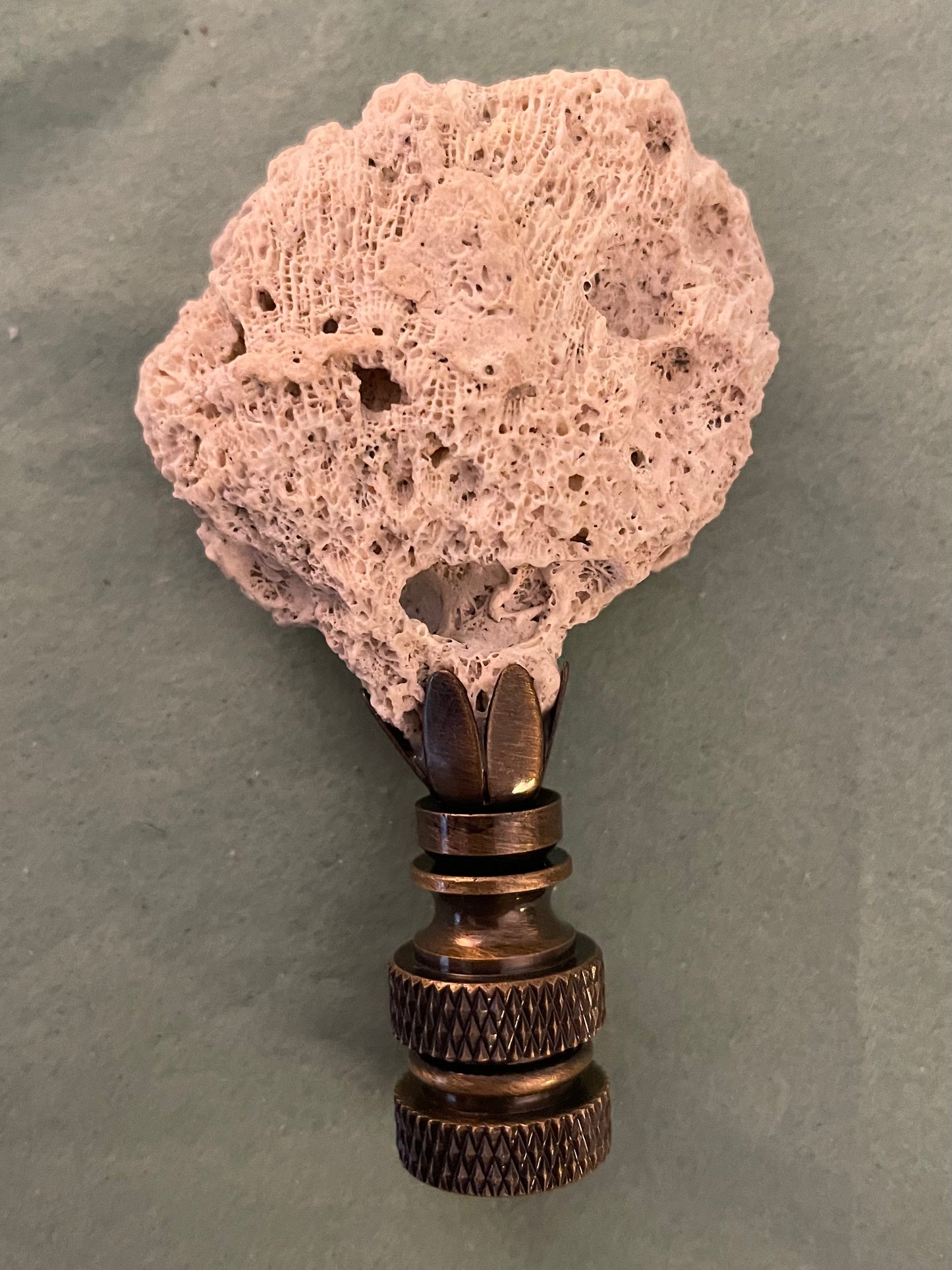 Fossil Coral Finial. Unique and rare!