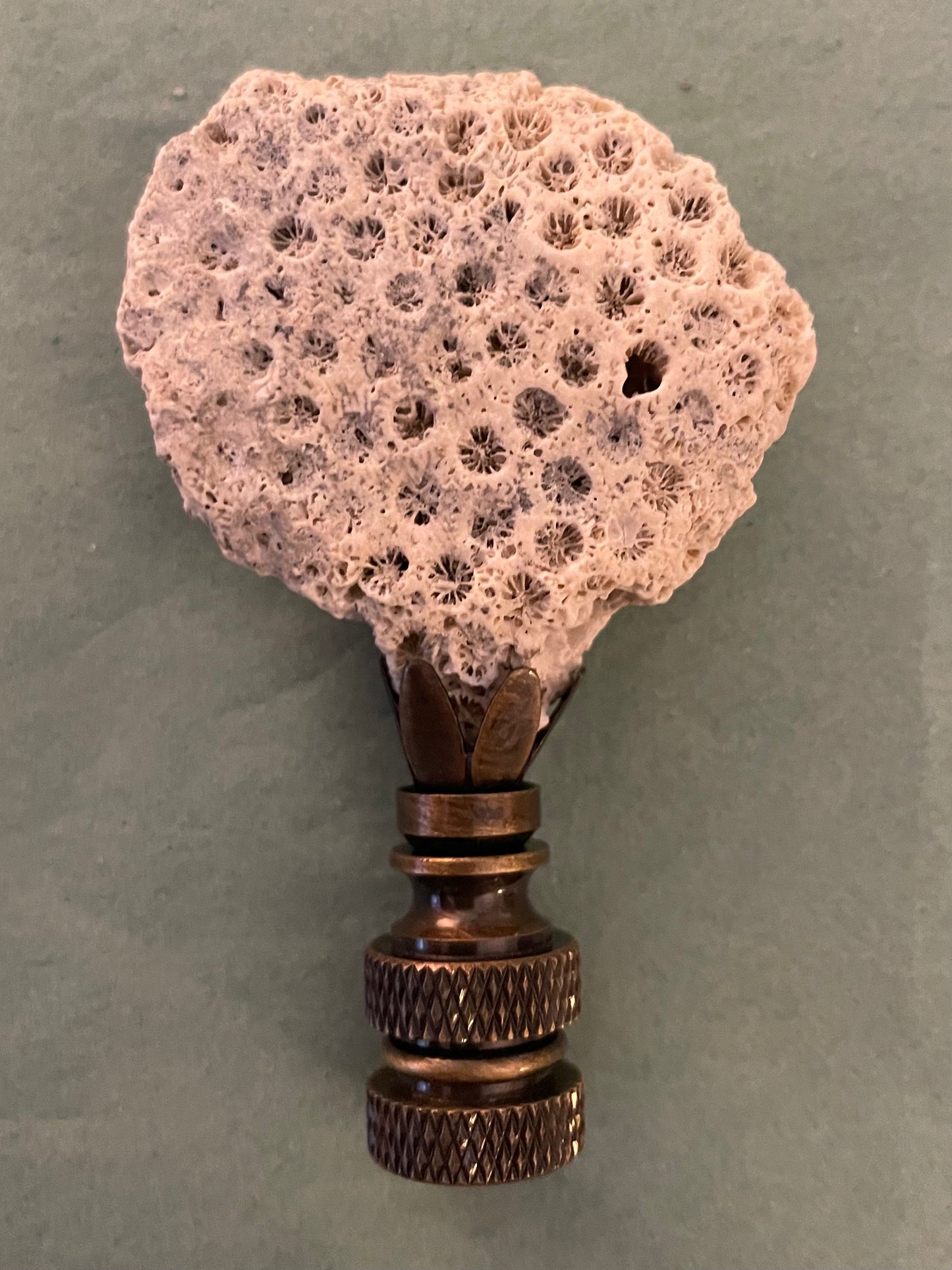 Fossil Coral Finial. Unique and rare!