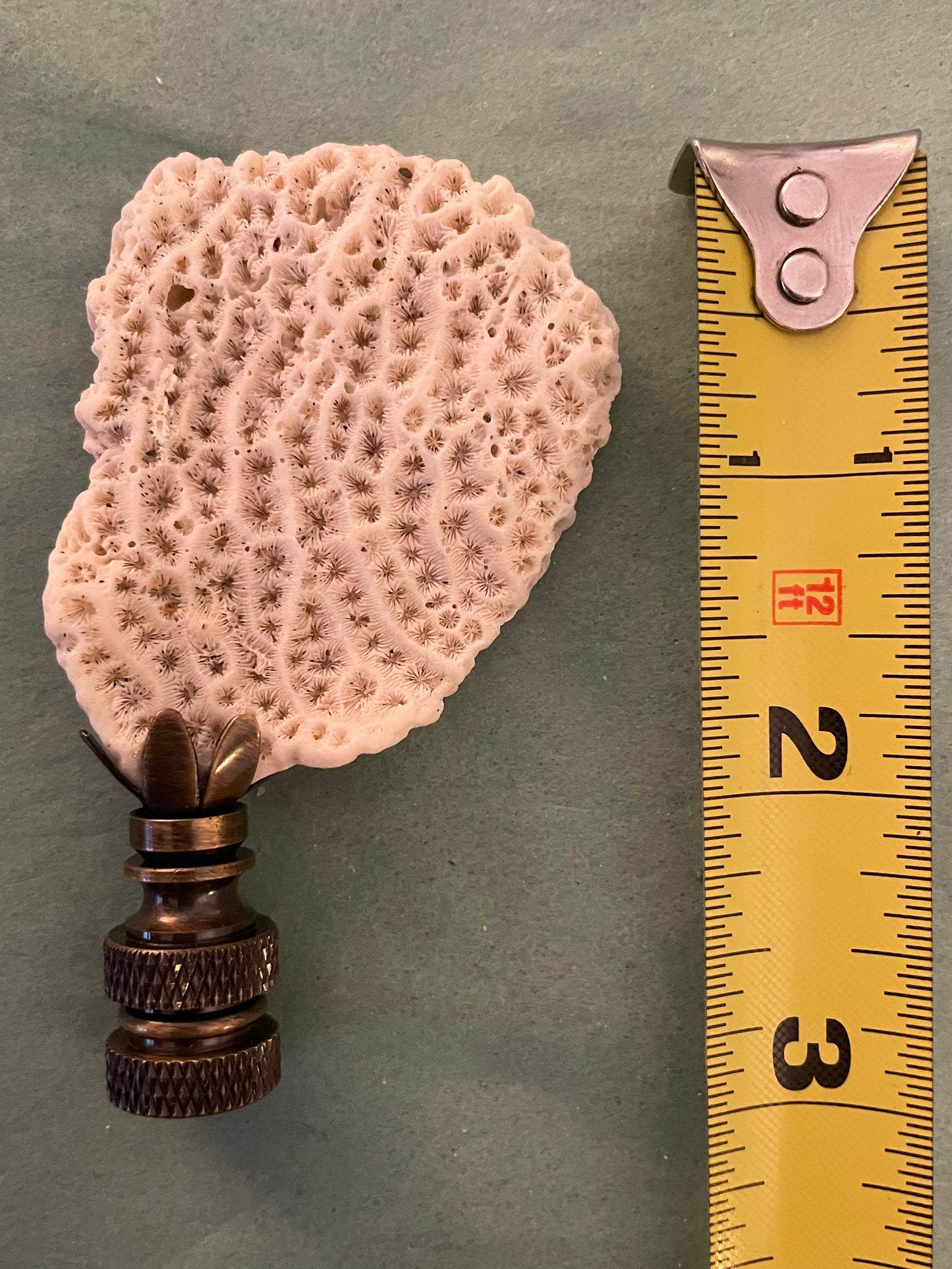 Fossil Coral Finial. Unique and rare!