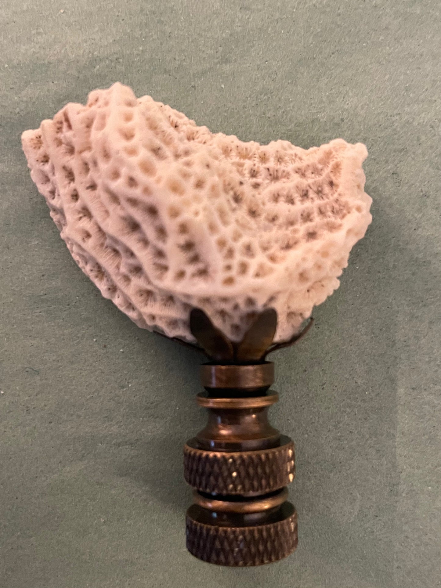 Fossil Coral Finial. Unique and rare!