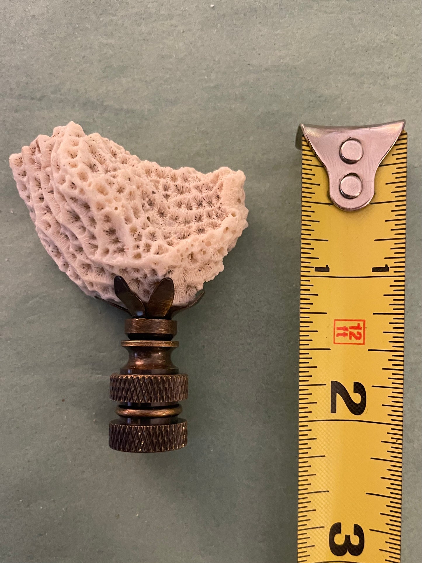 Fossil Coral Finial. Unique and rare!