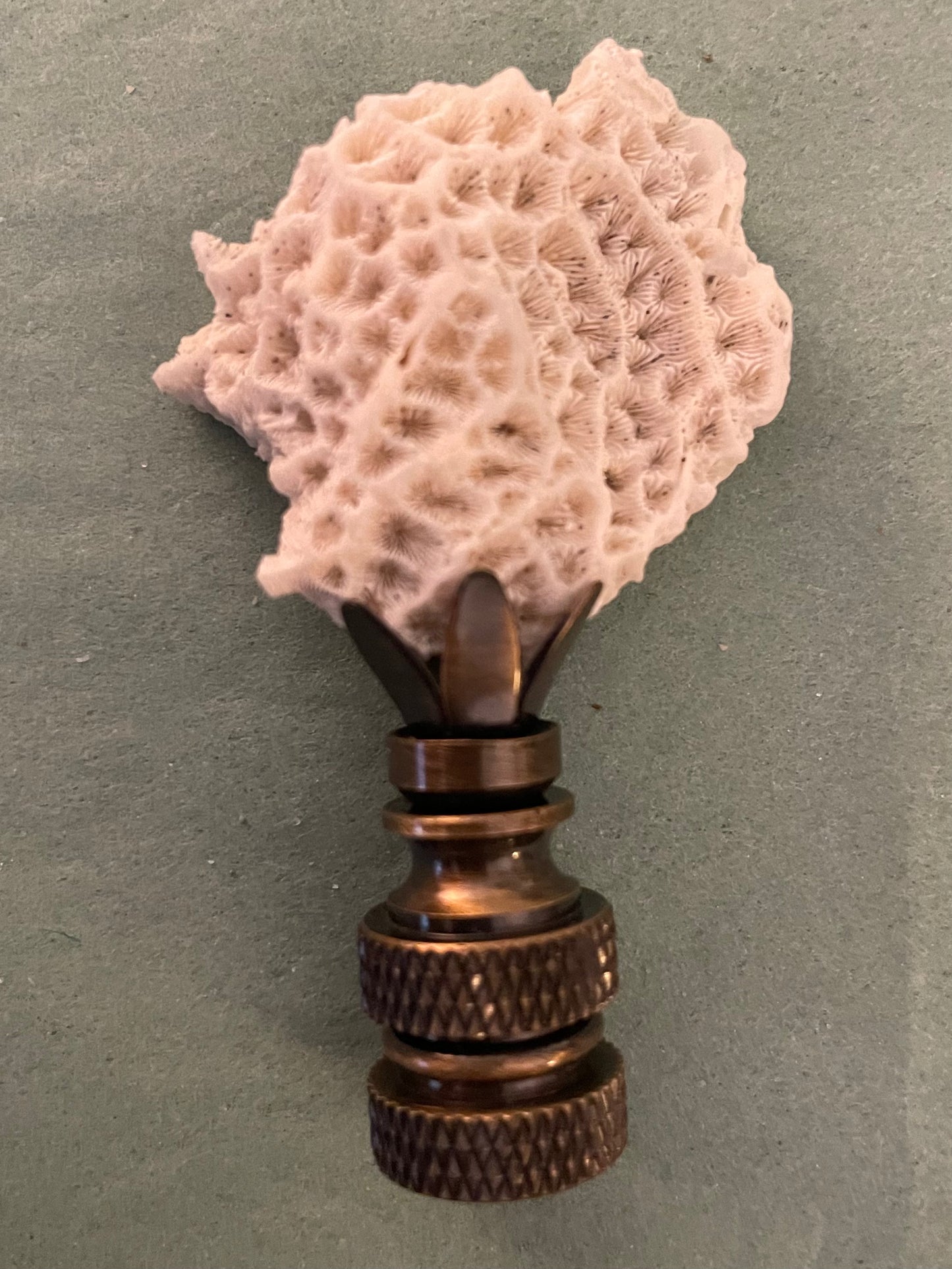 Fossil Coral Finial. Unique and rare!
