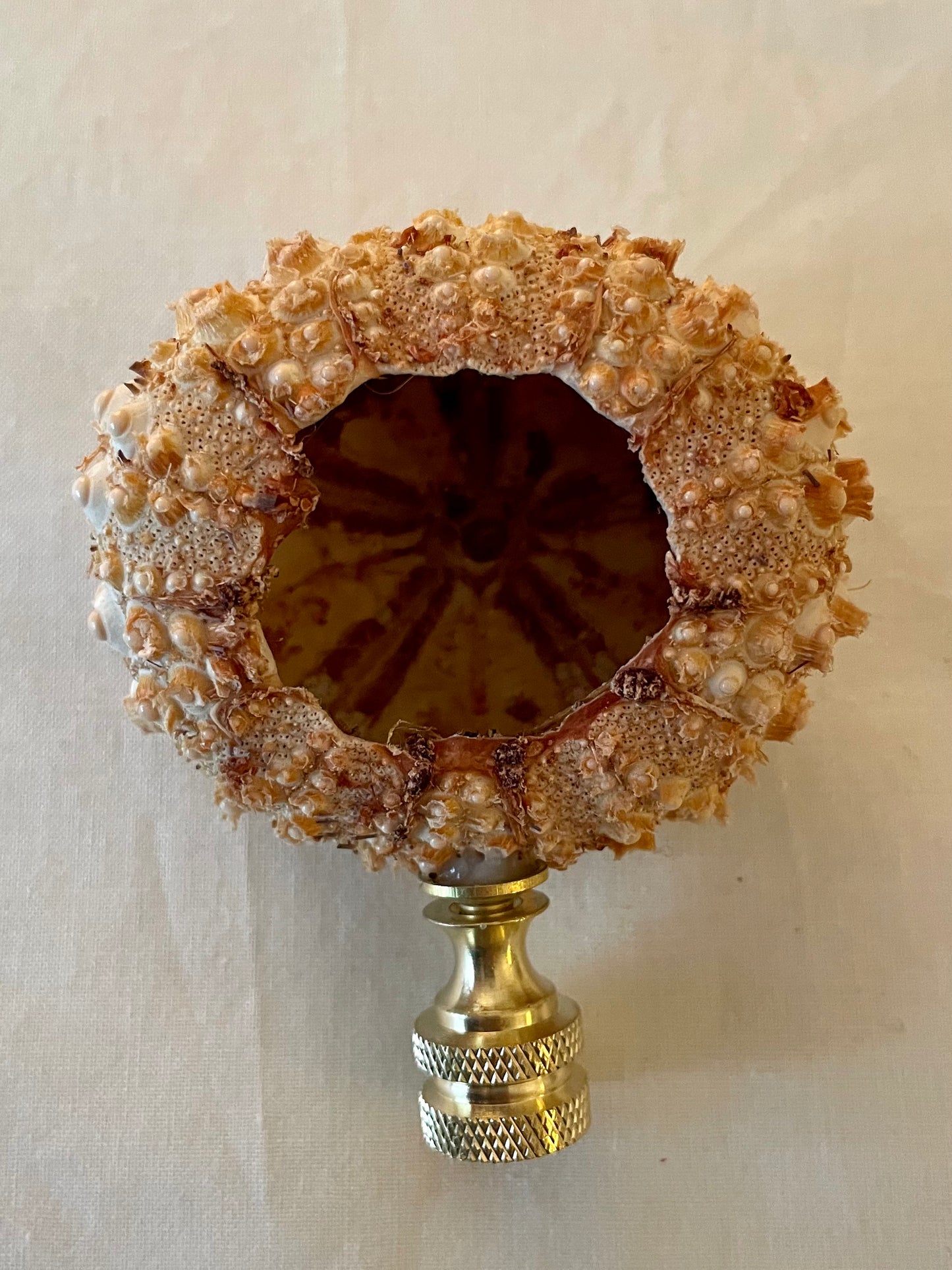 Knobby Urchin Seashell Finial. Peachy Brown. One of a kind! 3 inches.