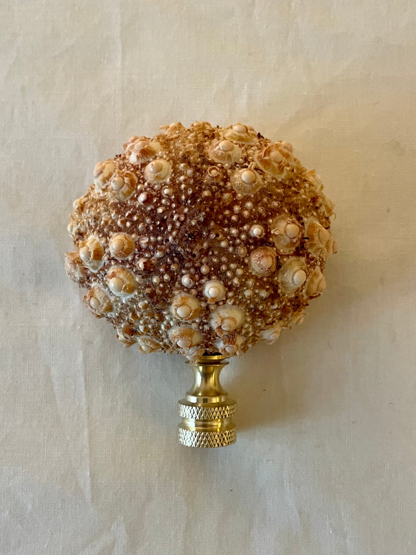 Knobby Urchin Seashell Finial. Peachy Brown. One of a kind! 3 inches.