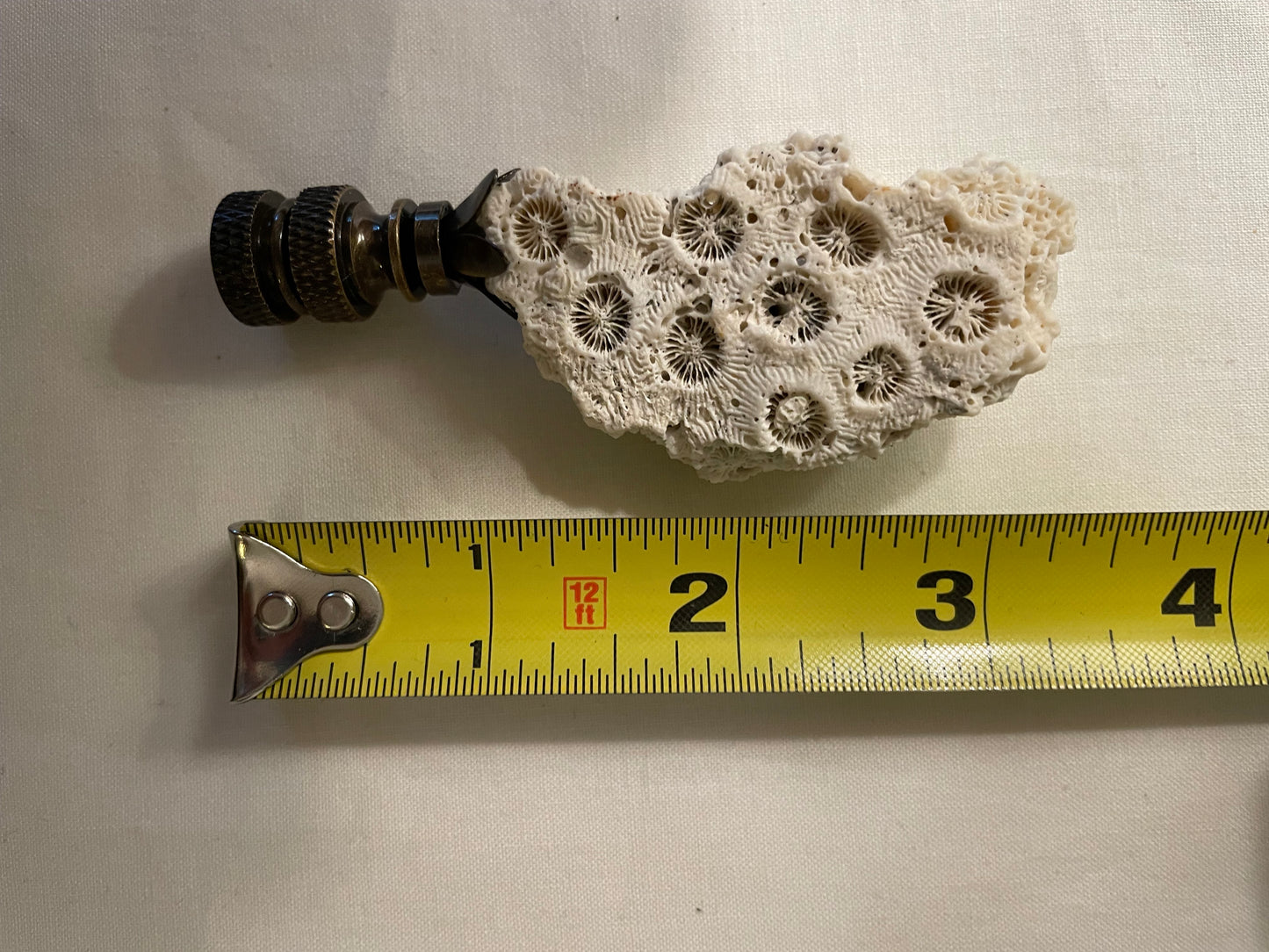 Fossil Coral Finial. Unique and rare!