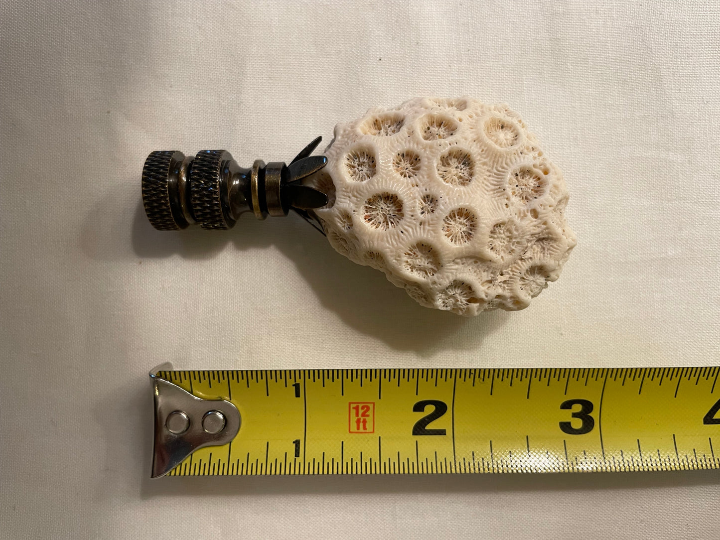 Fossil Coral Finial. Unique and rare!