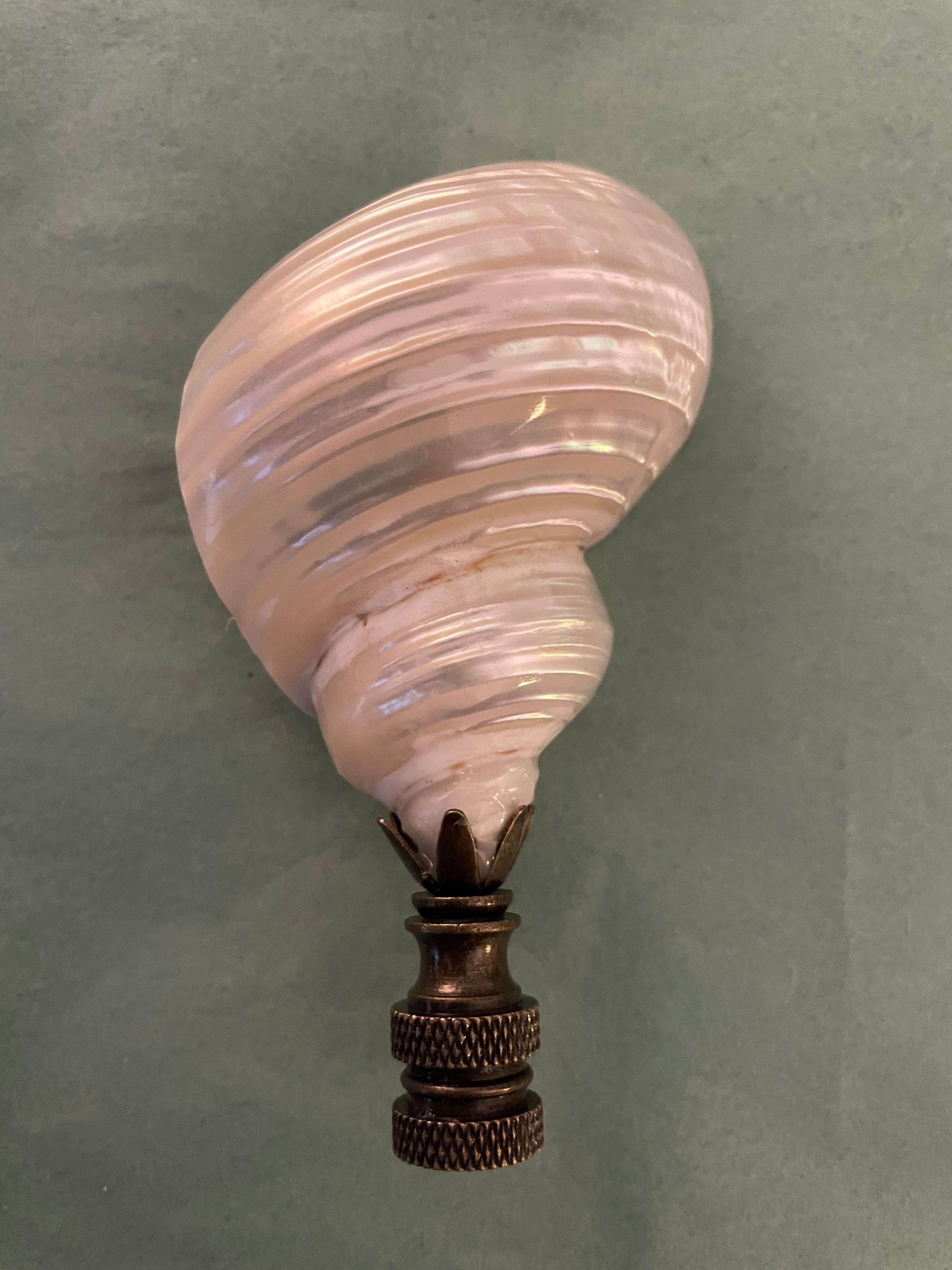 Seashell finials store