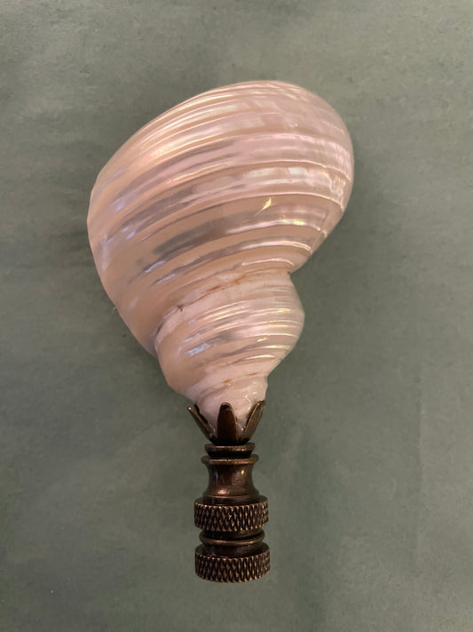 Large Turbo Seashell Finial. Pearly White. 4 inches. One of a kind!