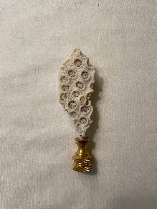 Fossil Coral Finial. Unique and rare!