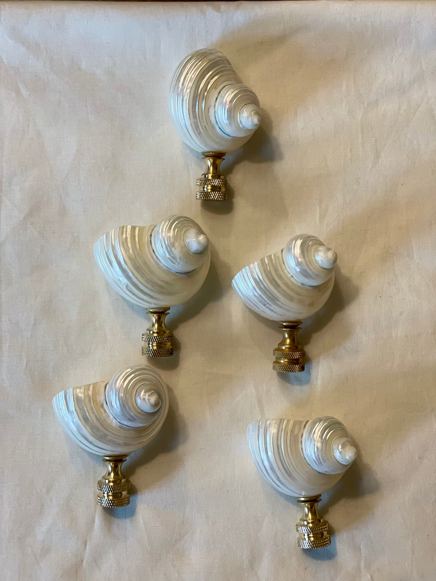 Turbo Seashell Finial. Pearly White. 2.5 - 3 inches.