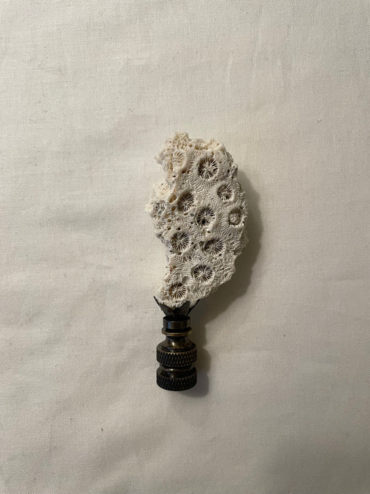 Fossil Coral Finial. Unique and rare!