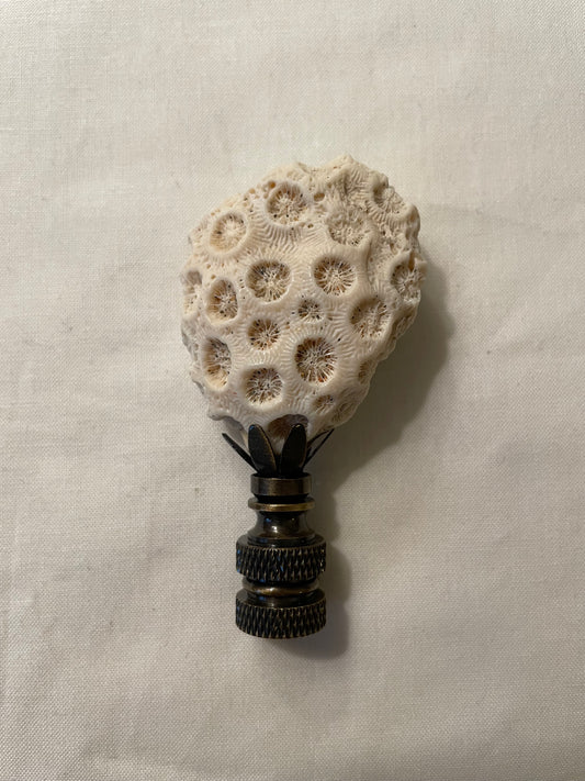 Fossil Coral Finial. Unique and rare!