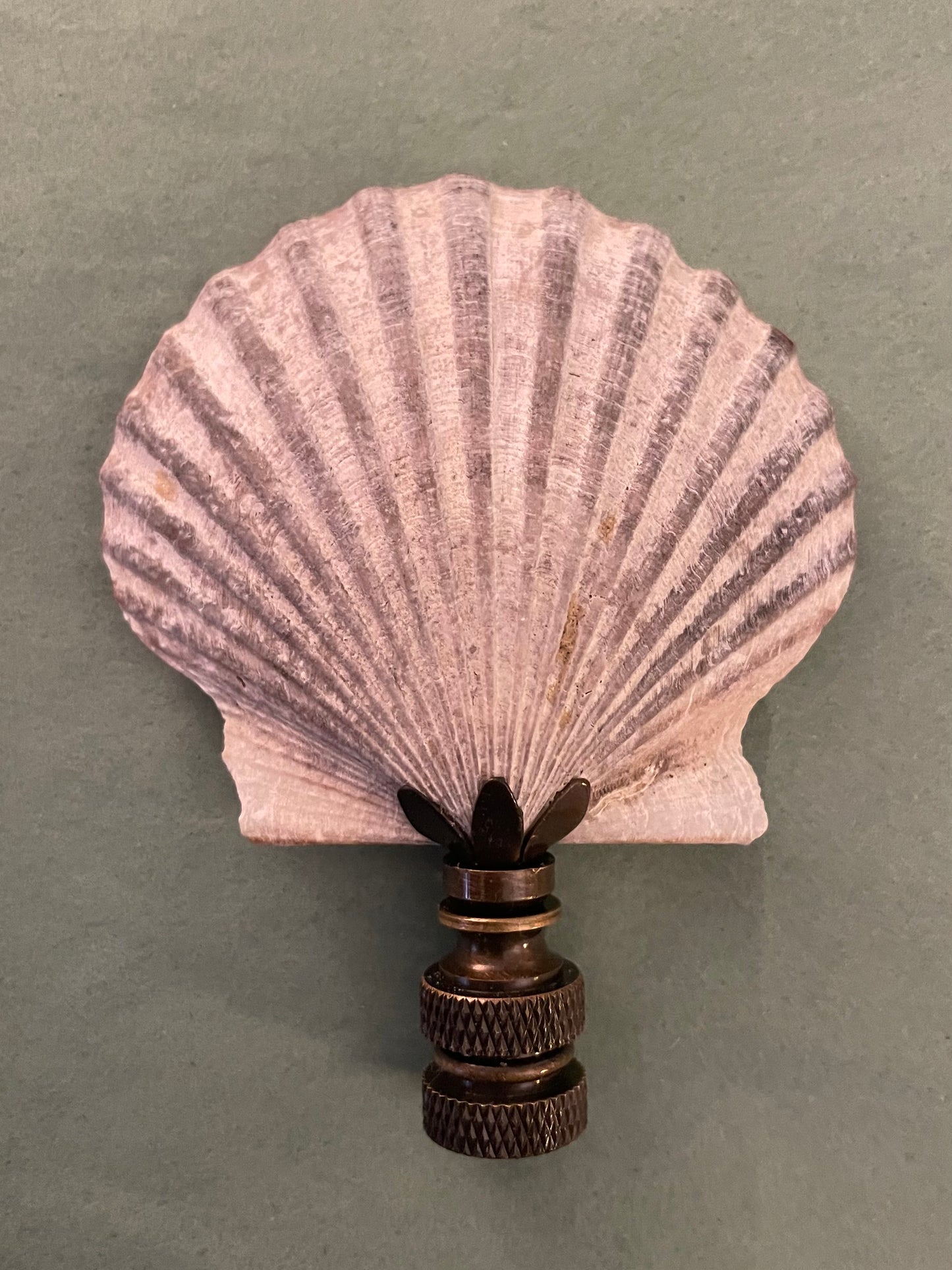 Weathered Gray Scallop Seashell Finial. 3.5 inches. One of a kind!