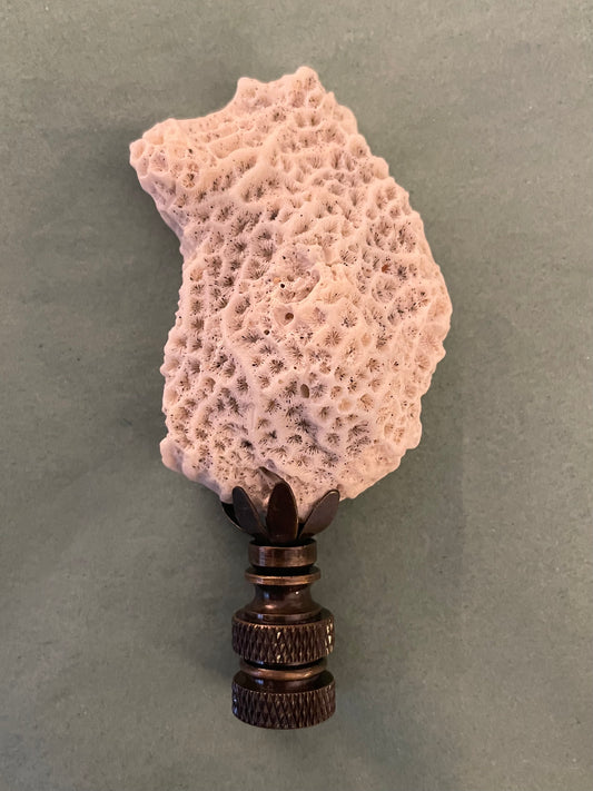 Fossil Coral Finial. Unique and rare!