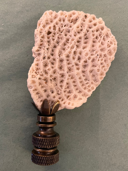 Fossil Coral Finial. Unique and rare!
