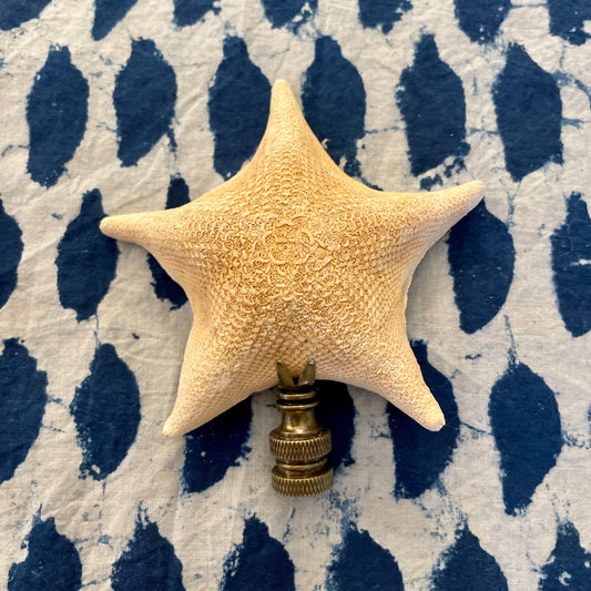Starfish Seashell Finial. ~ 4 inches.