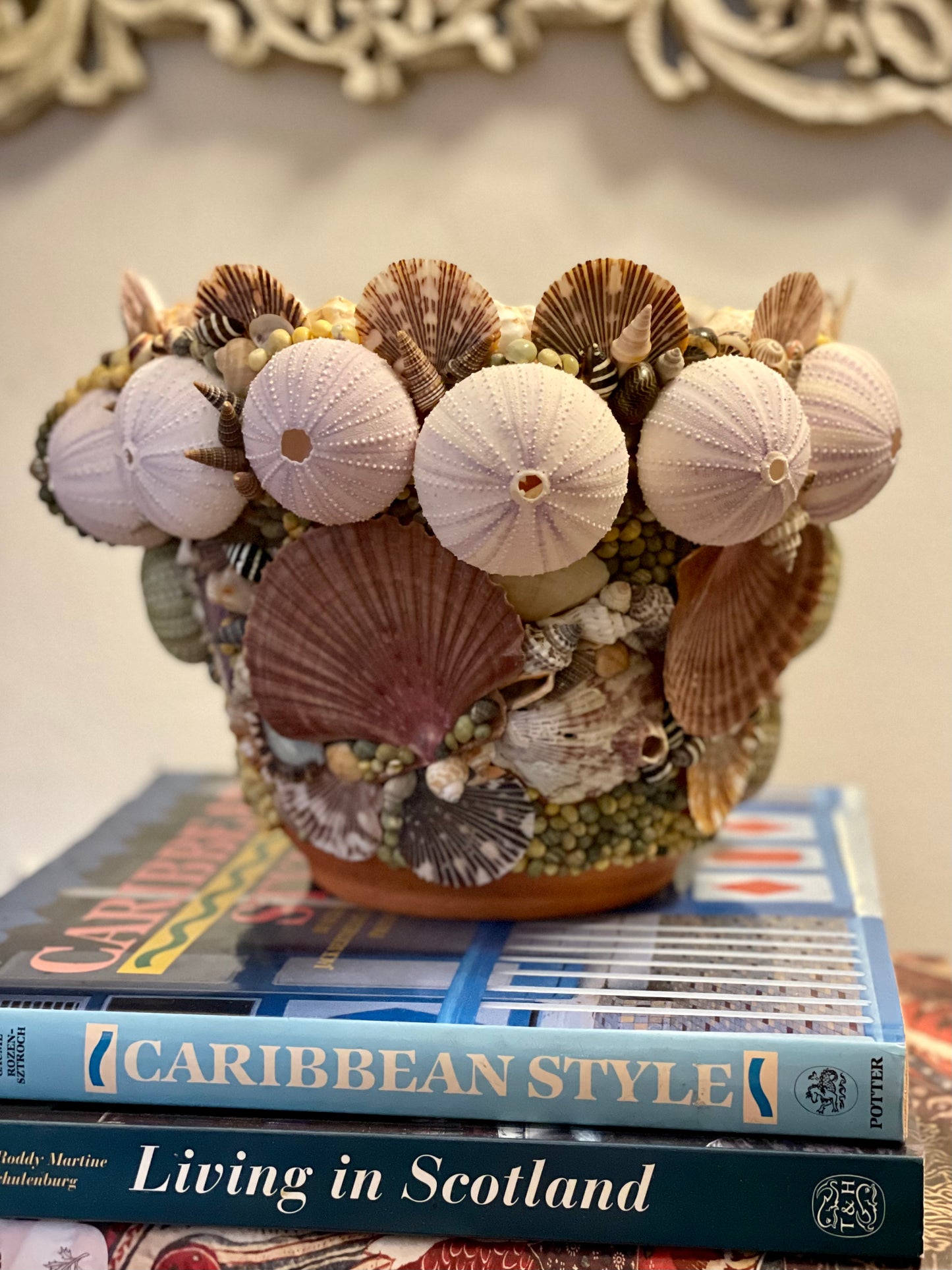 Shell Work Pot. Natural Seashells on Terracotta.