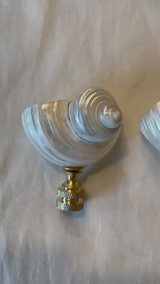 Turbo Seashell Finial. Pearly White. 2.5 - 3 inches.